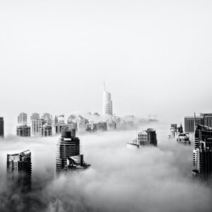 A Bird's Eye View