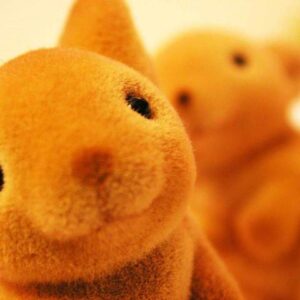 All The Bunnies Go Hop