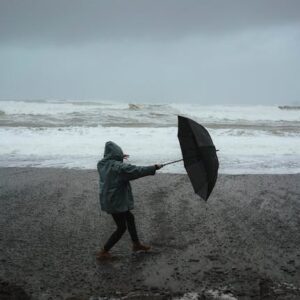 As the Wind Blows