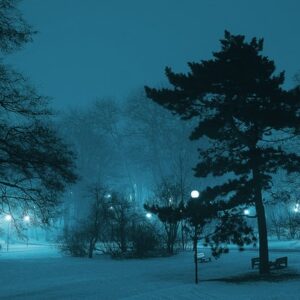 The Coldest Night of the Year