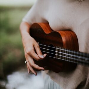 Folksy Consort