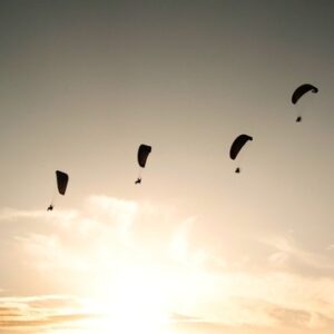 In Flight