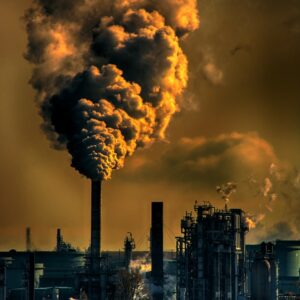Life In An Industrial Ruin