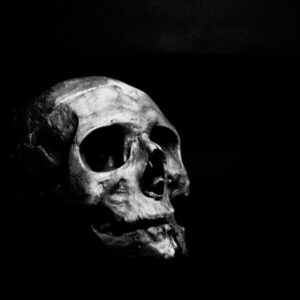 Love & Let Die #2