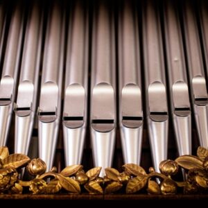 Monster Organ