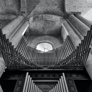 Monster Organ (short)