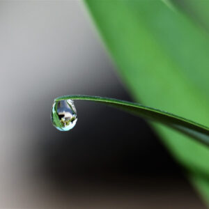 Suspense Water Droplets