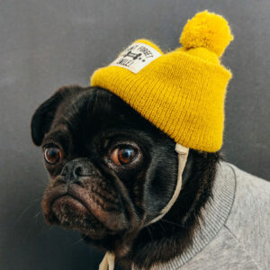 The Hat #2