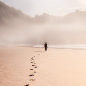 Trail of Clues