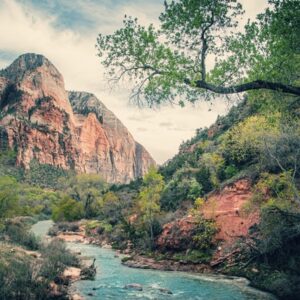 Zion